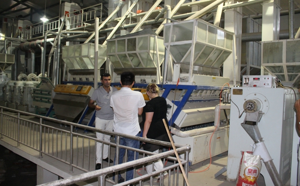 免费看片18禁机械