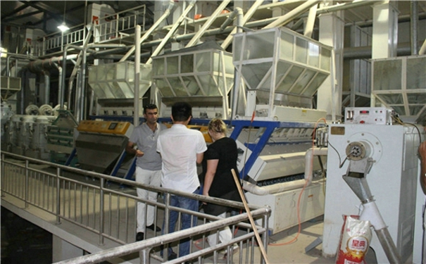 免费看片18禁机械