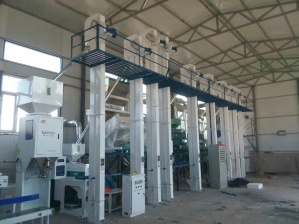 50吨级免费看片18禁机械