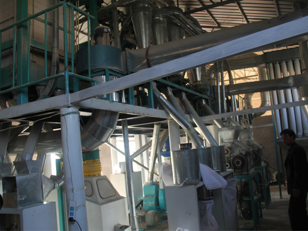 15吨级免费看片色情APP